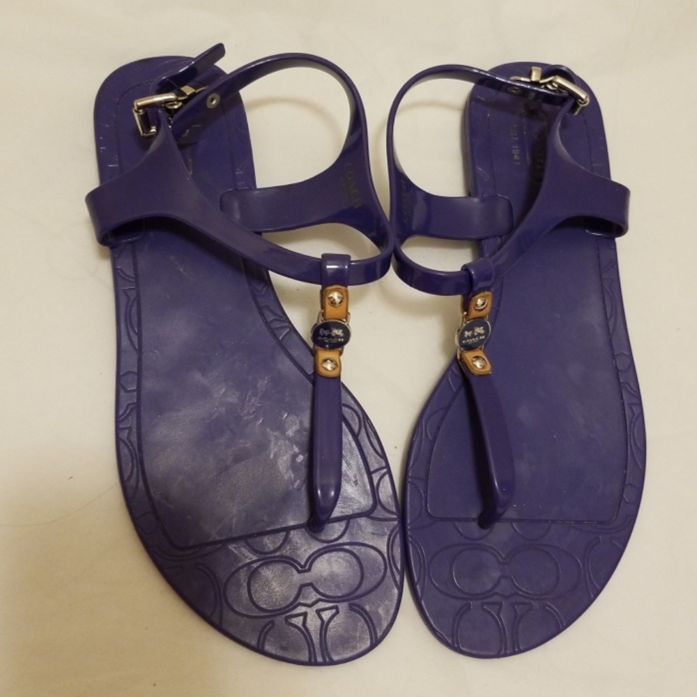 Coach Blue Picadilly Plastic T-Strap Sandal-7B